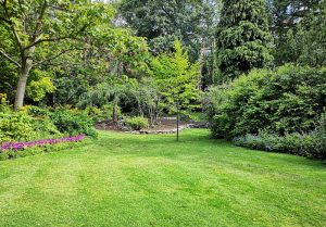 Optimiser l'expérience du jardin à Sommereux